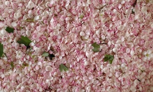 En verdrietig besluit en een nieuw begin